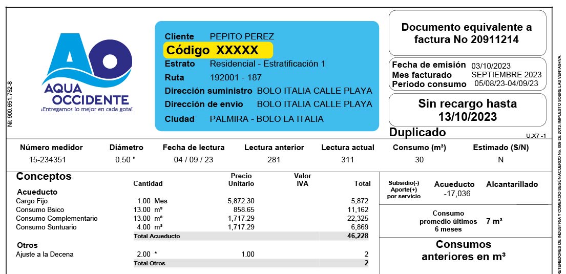 Imagen de ejemplo, observe su código en una de sus facturas